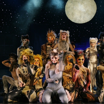 Мюзикл "Cats"