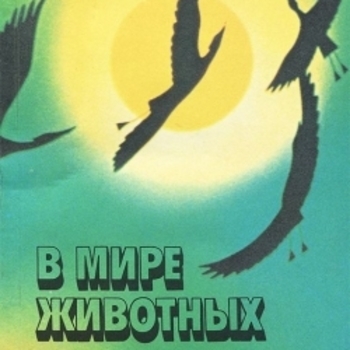 Музыка из шоу "В мире животных"